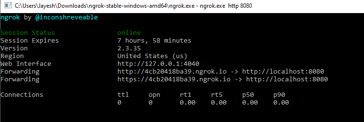 public url for localhost